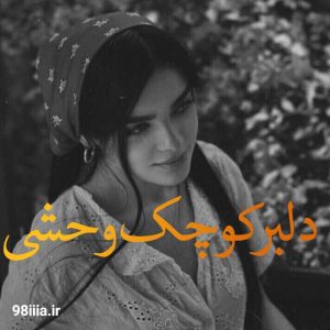 دانلود رمان دلبر کوچک وحشی اثر یاسمین یوسفی نودهشتیا